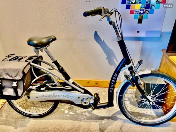 Partij Flyer Elektrische Fietsen T-Serie + Van Raam Balance