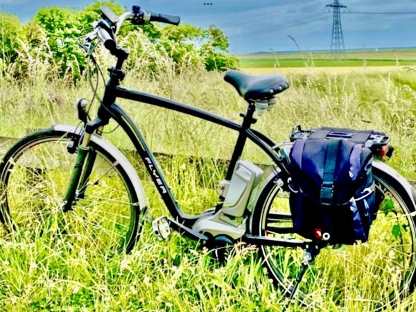 Partij Flyer Elektrische Fietsen T-Serie + Van Raam Balance