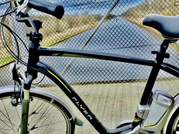 Partij Flyer Elektrische Fietsen T-Serie + Van Raam Balance