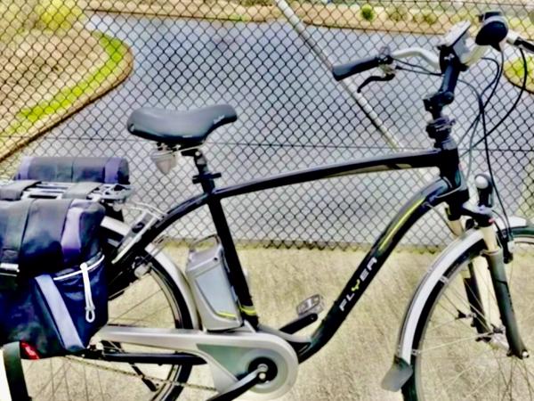 Partij Flyer Elektrische Fietsen T-Serie + Van Raam Balance