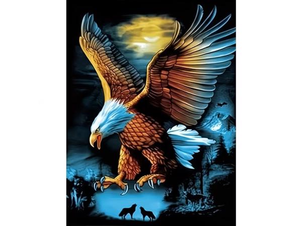 nr 8 Diamond Painting roofvogel 50x40cm (vierkant)