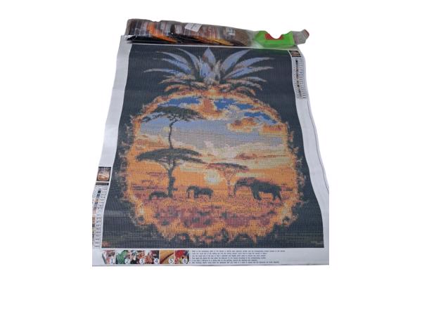 nr 47 Diamond painting Olifanten ananas 50x40cm (vierkant)