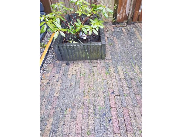 Bont gekleurde waaltjes en betonnen borders