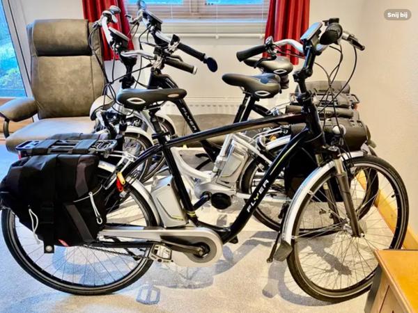 Als nieuwe Partij Elektrische Flyer Fietsen in een deal 2250