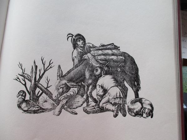 Kerstboek voor het hele Gezin