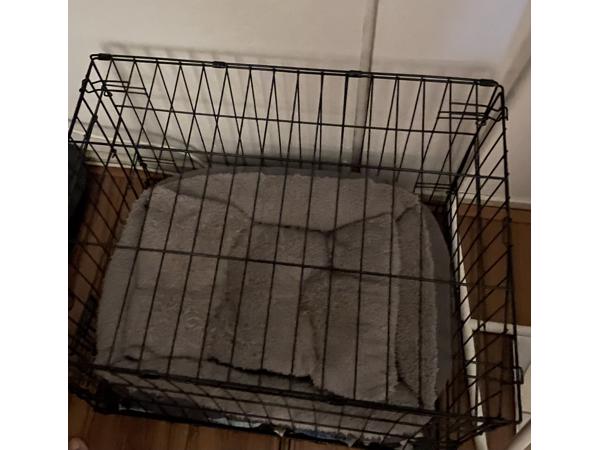 Bench, zgan, afsluitbaar & veilig voor pups en kleine honden