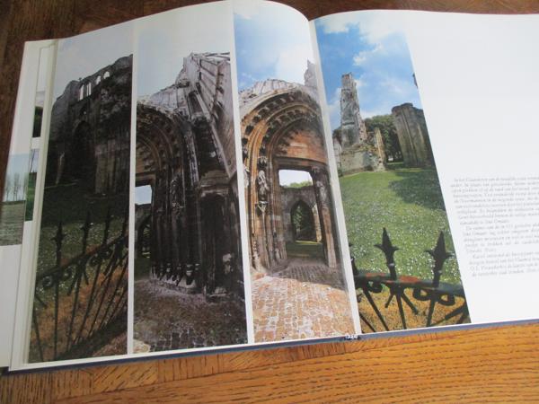 Patricia Carson  -  In Eindeloze Verscheidenheid