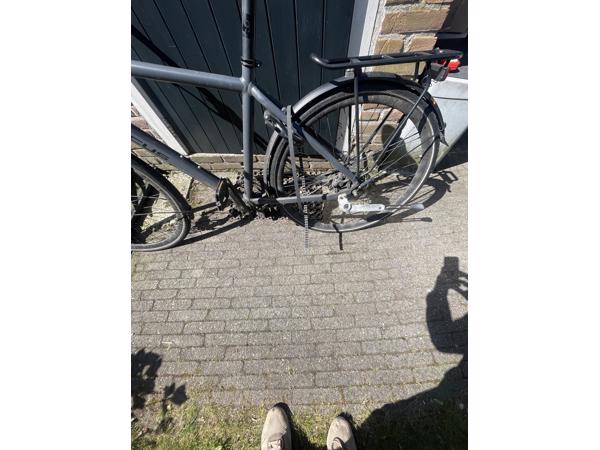 focus fiets met carbon belt