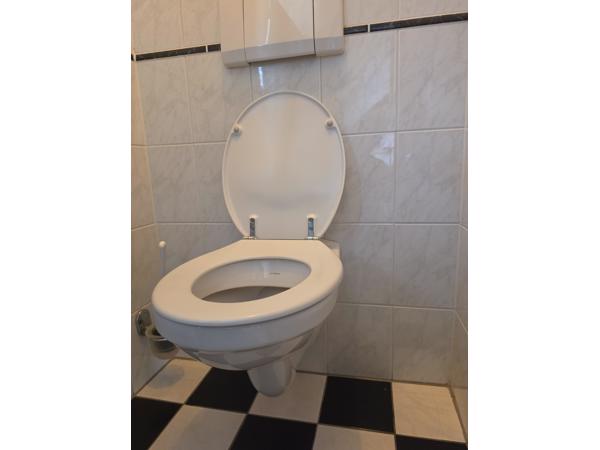 Toilet wit glanzend
