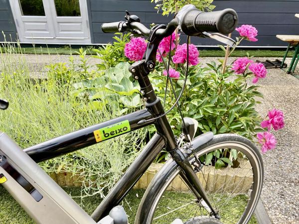 Set Fietsen Giant Revive LX + Beixo met Cardan Aandrijving