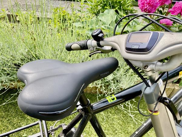 Set Fietsen Giant Revive LX + Beixo met Cardan Aandrijving