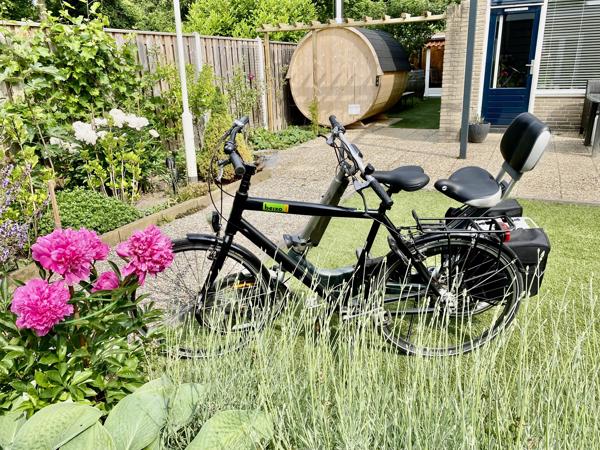 Set Fietsen Giant Revive LX + Beixo met Cardan Aandrijving