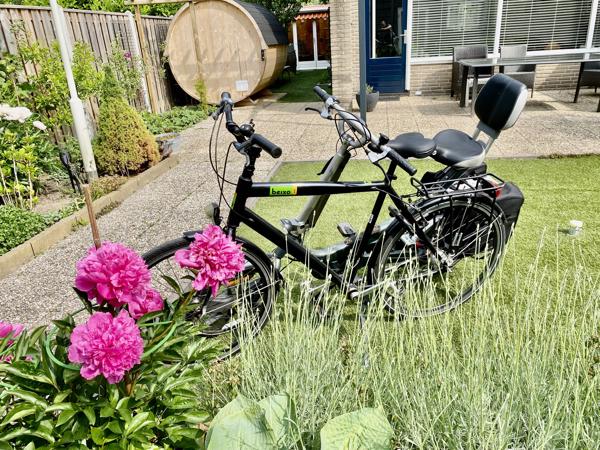 Set Fietsen Giant Revive LX + Beixo met Cardan Aandrijving