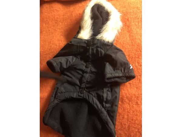 leuke nieuwe voor kleine honden kleding