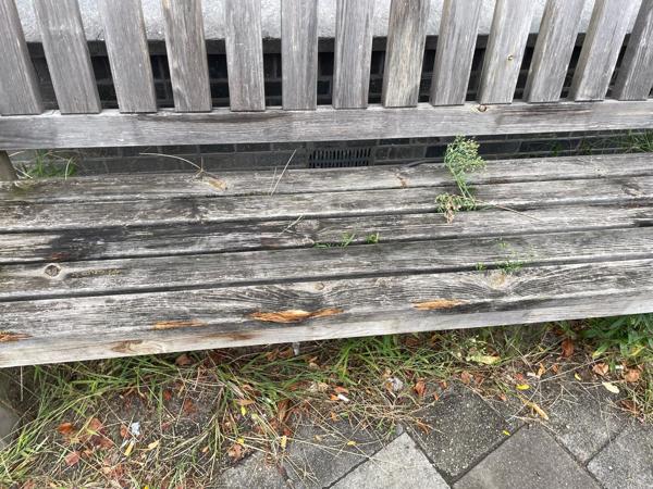 Twee tuinbanken