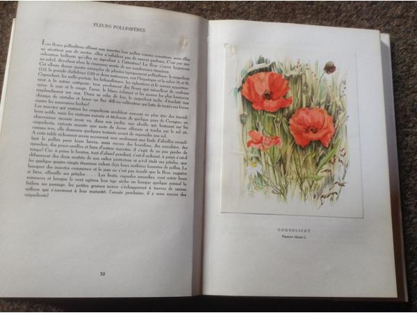 Boek Fleurs sur ton chemin ,mooie illustraties ,tekst en uit