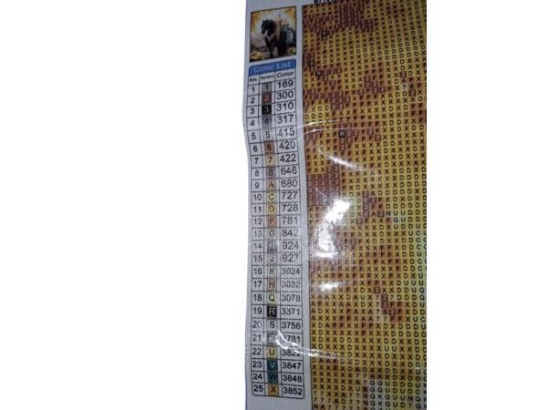 nr 60 Diamond Painting paard paleis 50x40cm (vierkant)