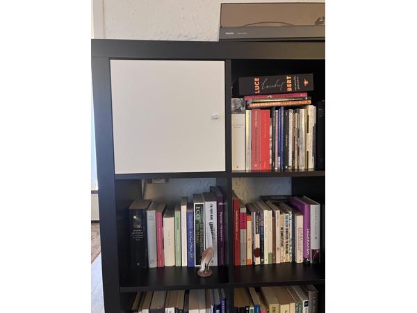 Grote Ikea KALLAX / EXPEDIT kast