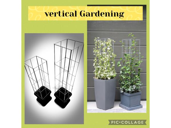 KLIMPLANTEN DE VERTICALE TUIN TEGEN SCHUTTINGEN