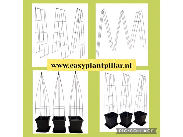 KLIMPLANTEN DE VERTICALE TUIN TEGEN SCHUTTINGEN