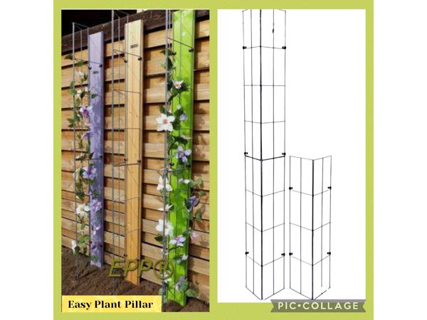 KLIMPLANTEN DE VERTICALE TUIN TEGEN SCHUTTINGEN