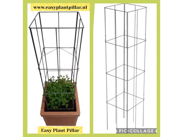 KLIMPLANTEN DE VERTICALE TUIN TEGEN SCHUTTINGEN