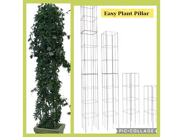 KLIMPLANTEN DE VERTICALE TUIN TEGEN SCHUTTINGEN