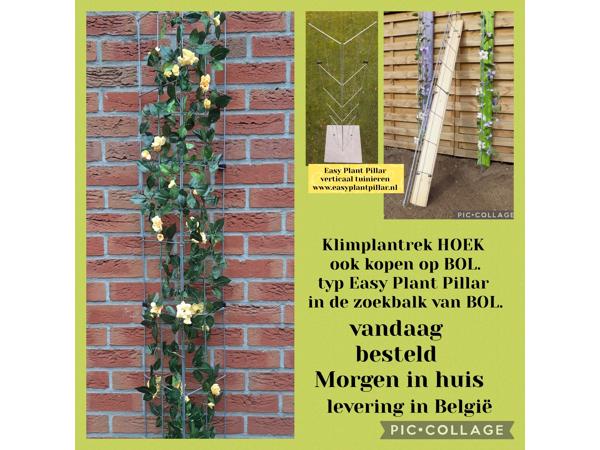 KLIMPLANTEN DE VERTICALE TUIN TEGEN SCHUTTINGEN