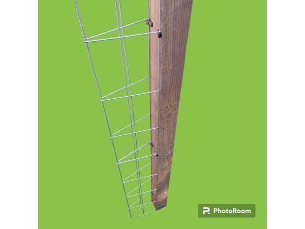 KLIMPLANTEN DE VERTICALE TUIN TEGEN SCHUTTINGEN