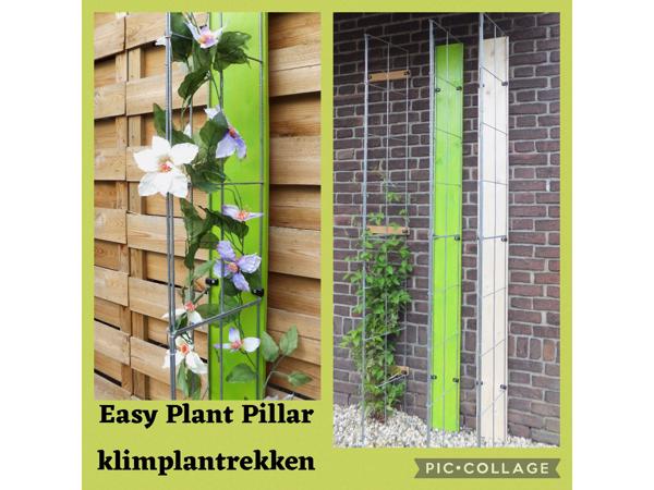 KLIMPLANTEN DE VERTICALE TUIN TEGEN SCHUTTINGEN