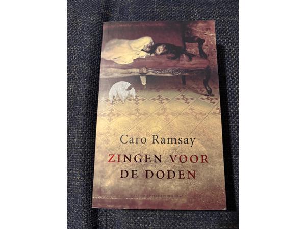 Diverse thrillers  ( Brown ,Forsyth , Clancy , Grisham etc )