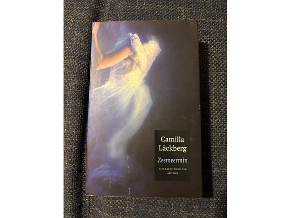 Diverse thrillers  ( Brown ,Forsyth , Clancy , Grisham etc )