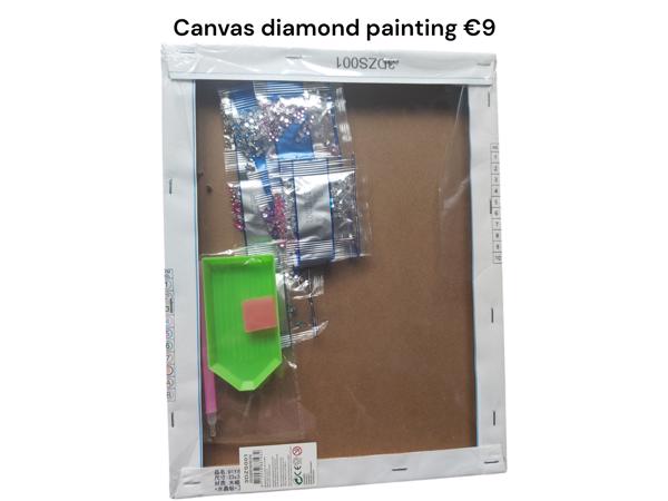 Diamond Painting IJsprinces Frame 30x23cm