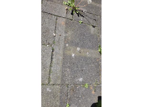 54 m^2 Antraciet/grijze terras/tuintegels (wildverband)