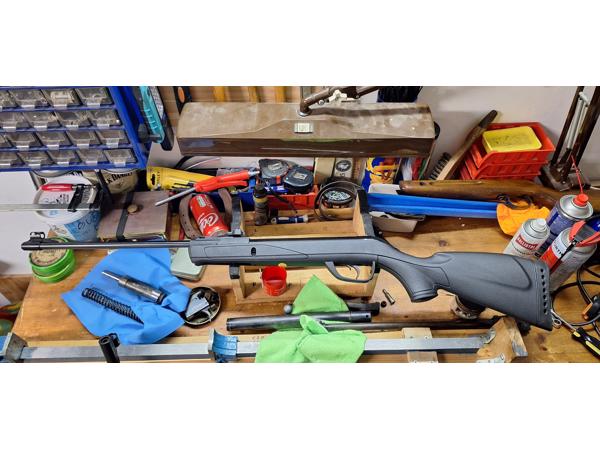 Gamo black shadow en delta max force