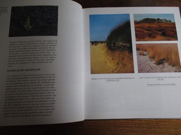 Natuur in België   - Heide en Venen