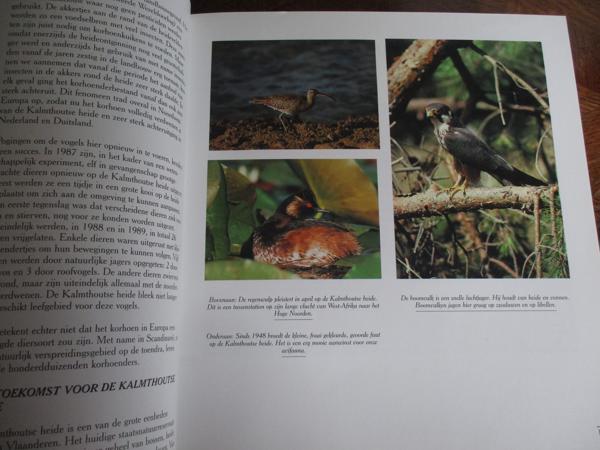 Natuur in België   - Heide en Venen