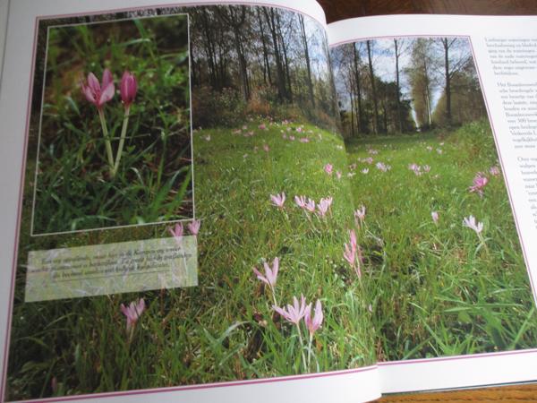 Natuur in België   - Heide en Venen