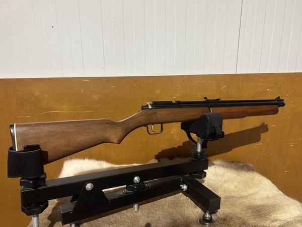 Benjamin Sheridan pompbuks .20