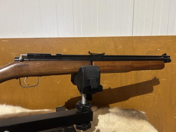 Benjamin Sheridan pompbuks .20