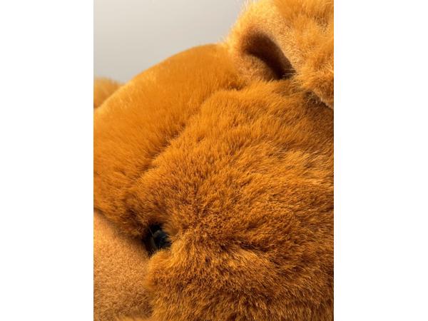 Grote plush beer, bruine kleur, kinder speelgoed