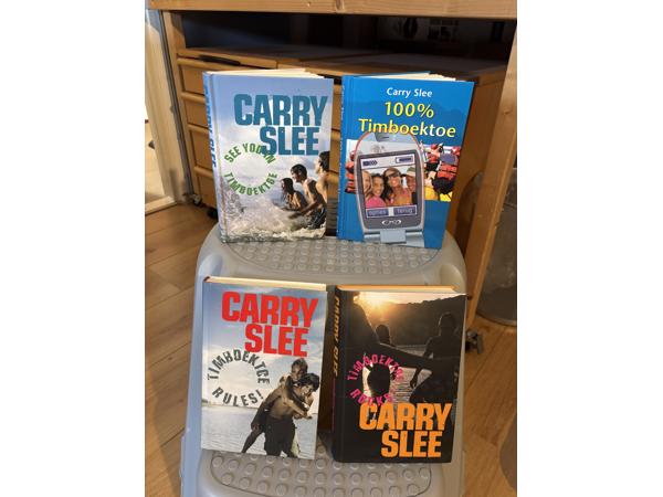 Boeken vanaf 13 / 14 jaar leesboeken vanaf 15 jaar Ook los