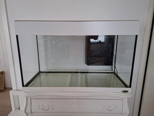 Aquarium compleet