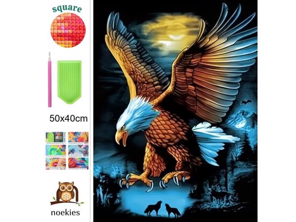 nr 8 Diamond Painting roofvogel 50x40cm (vierkant)