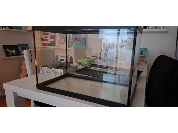 Top Aquarium