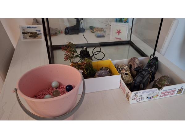 Top Aquarium