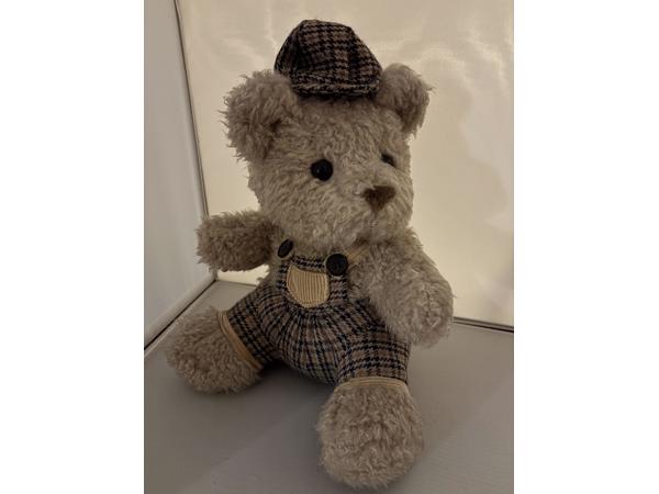 Beer Interprasent ruiten kleding kijkt naar links ruwe vacht