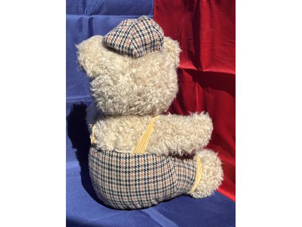 Beer Interprasent ruiten kleding kijkt naar links ruwe vacht