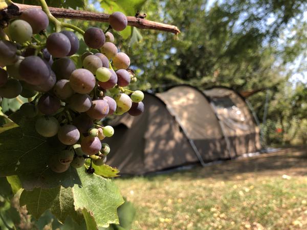 Bardani Tacoma Beach 3-4 persoons tent (technisch katoen)