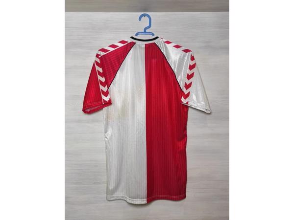 Feyenoord shirts reproducties €55